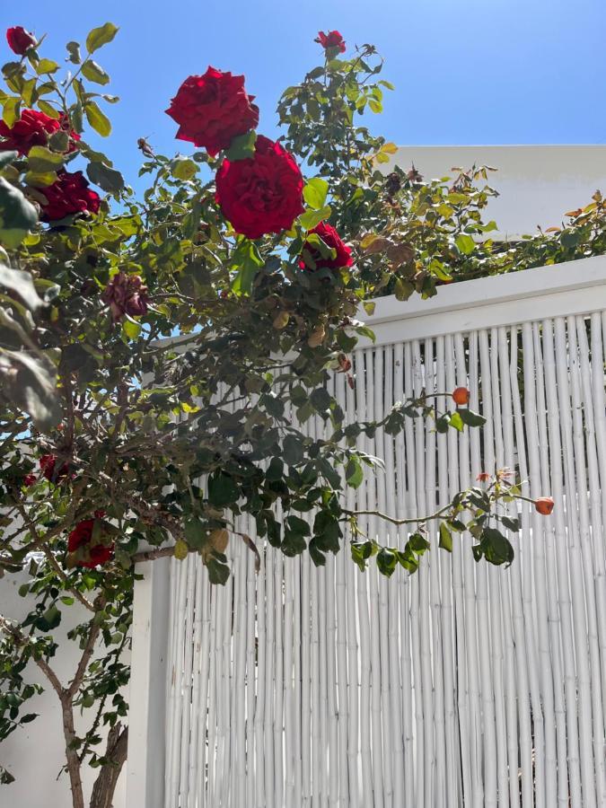 Aleria Central Apartments Naxos City エクステリア 写真